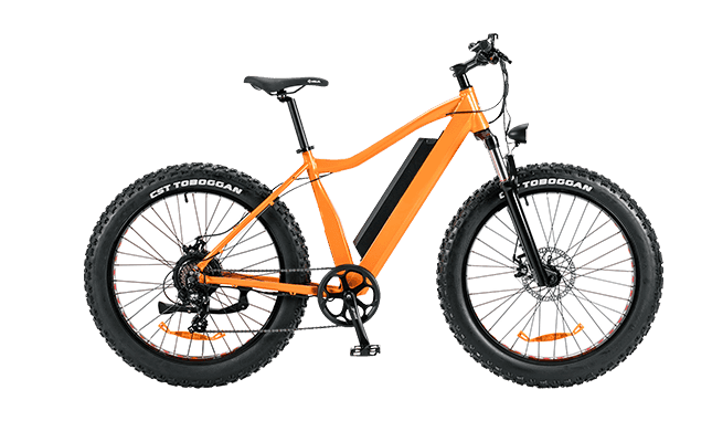 Electric Bike